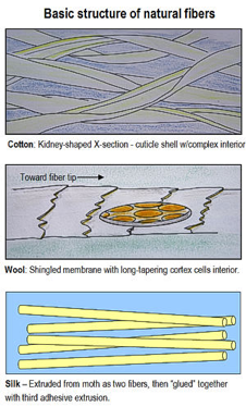 basic structure of natural fiber